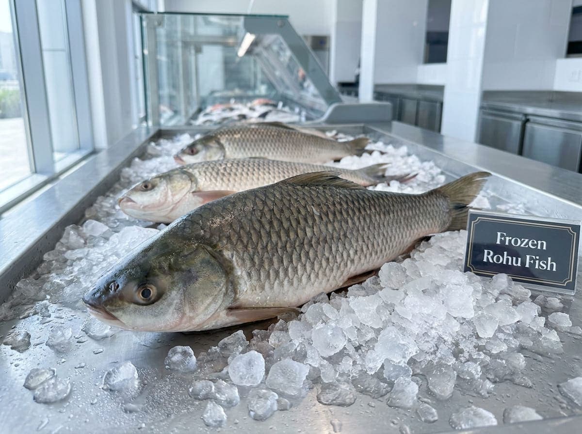 Buy Delicious Frozen Rohu Fish (روهو) Shop in Dubai UAE