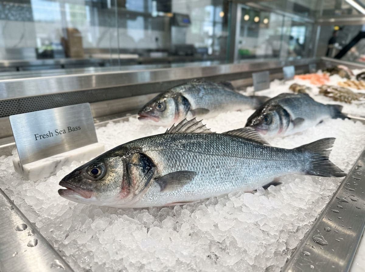 Fresh Sea Bass سمك القاروص for Sale in Dubai UAE