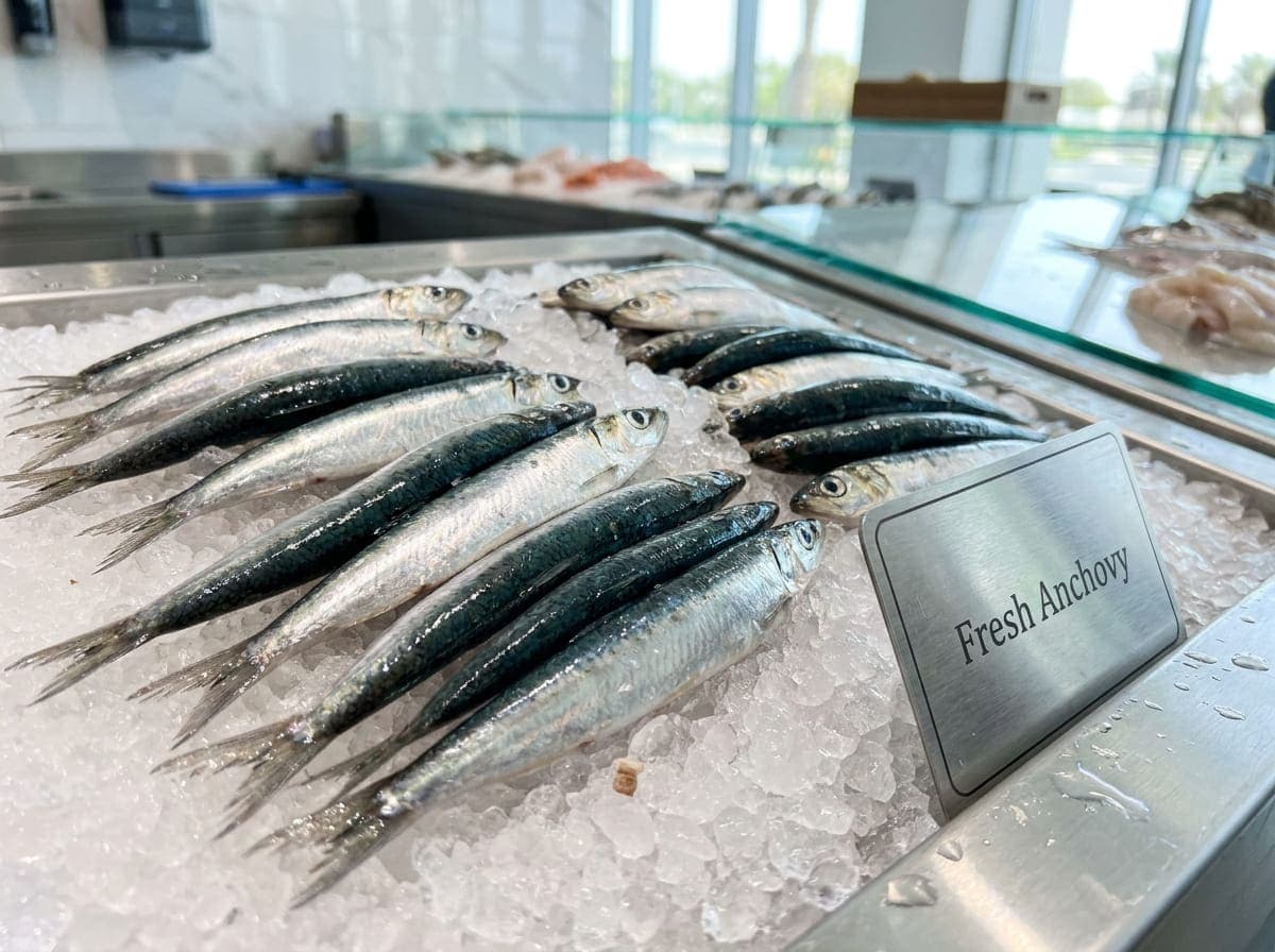 Buy Fresh Anchovy (Natholi) | Small Coastal Fish for Crispy Frying and Curry in Dubai UAE