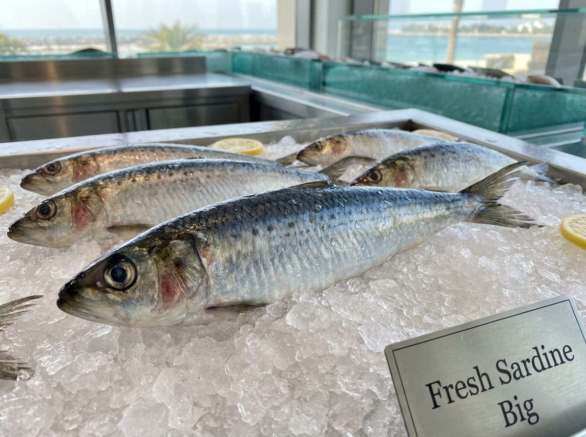 Big Sardine Fish (السردين الكبير) Bold Seafood Flavour for Everyday Meals