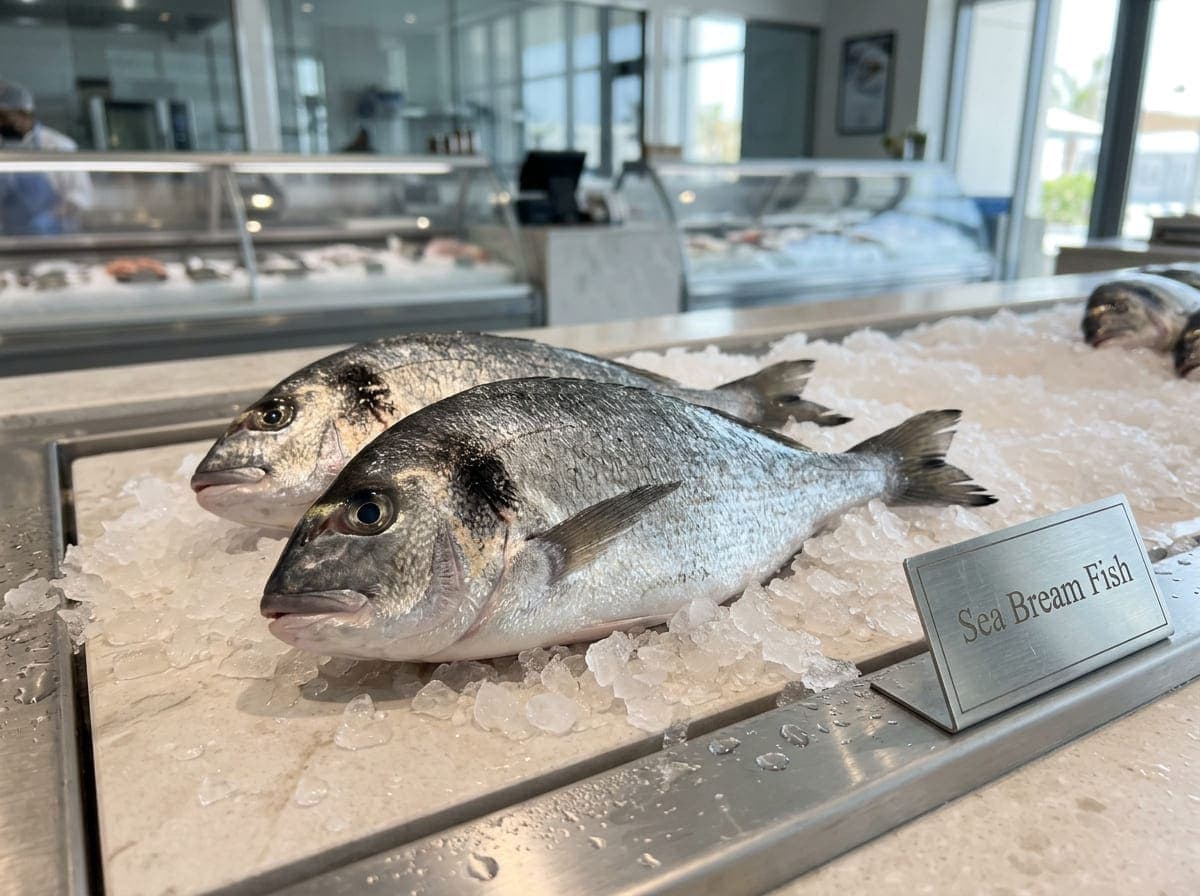Fresh Sea Bream سمك الدنيس, Naturally Fresh Taste and Premium Quality in Dubai, UAE