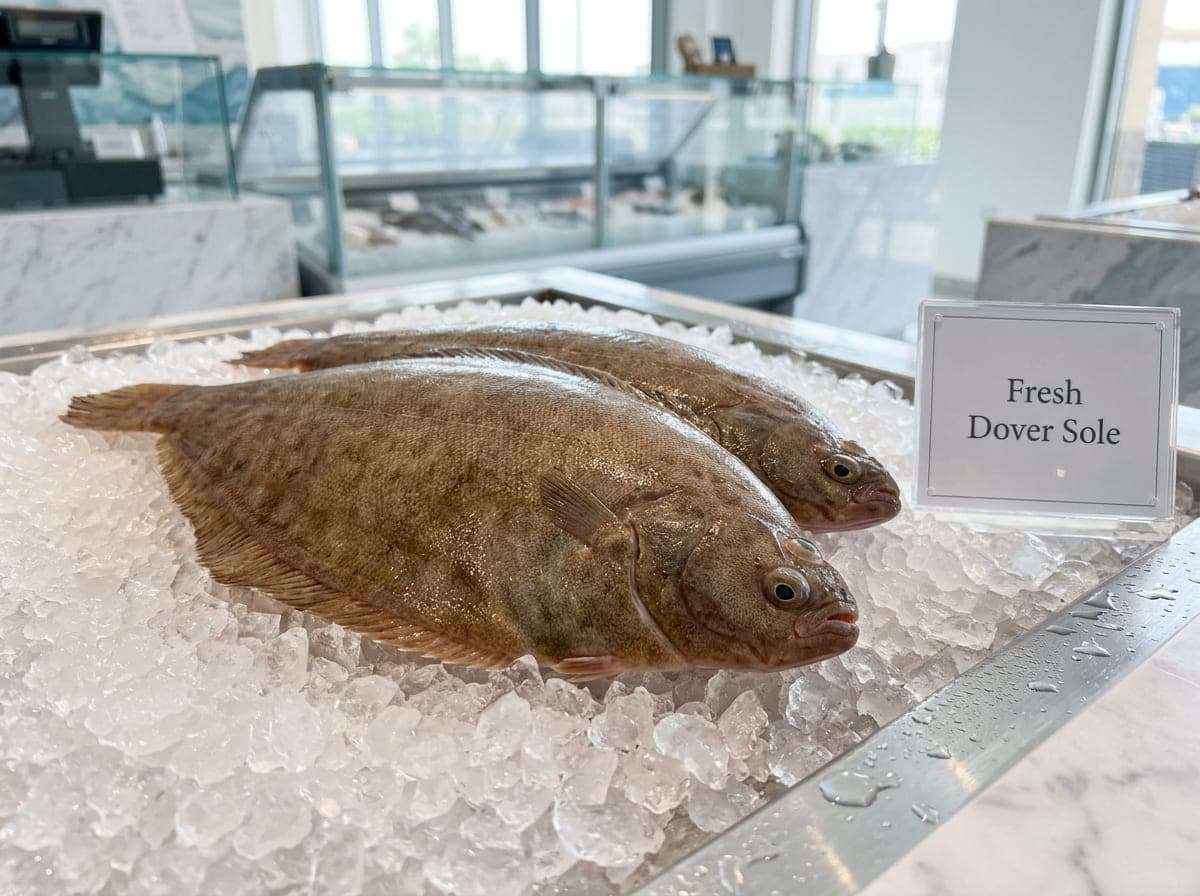 Dover Sole Price UAE | AED 59 per 500g | Fresh Fish Dubai