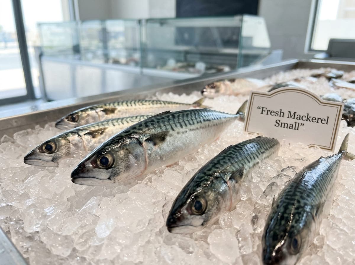 Small Mackerel a Tasty Choice for Everyday Meals