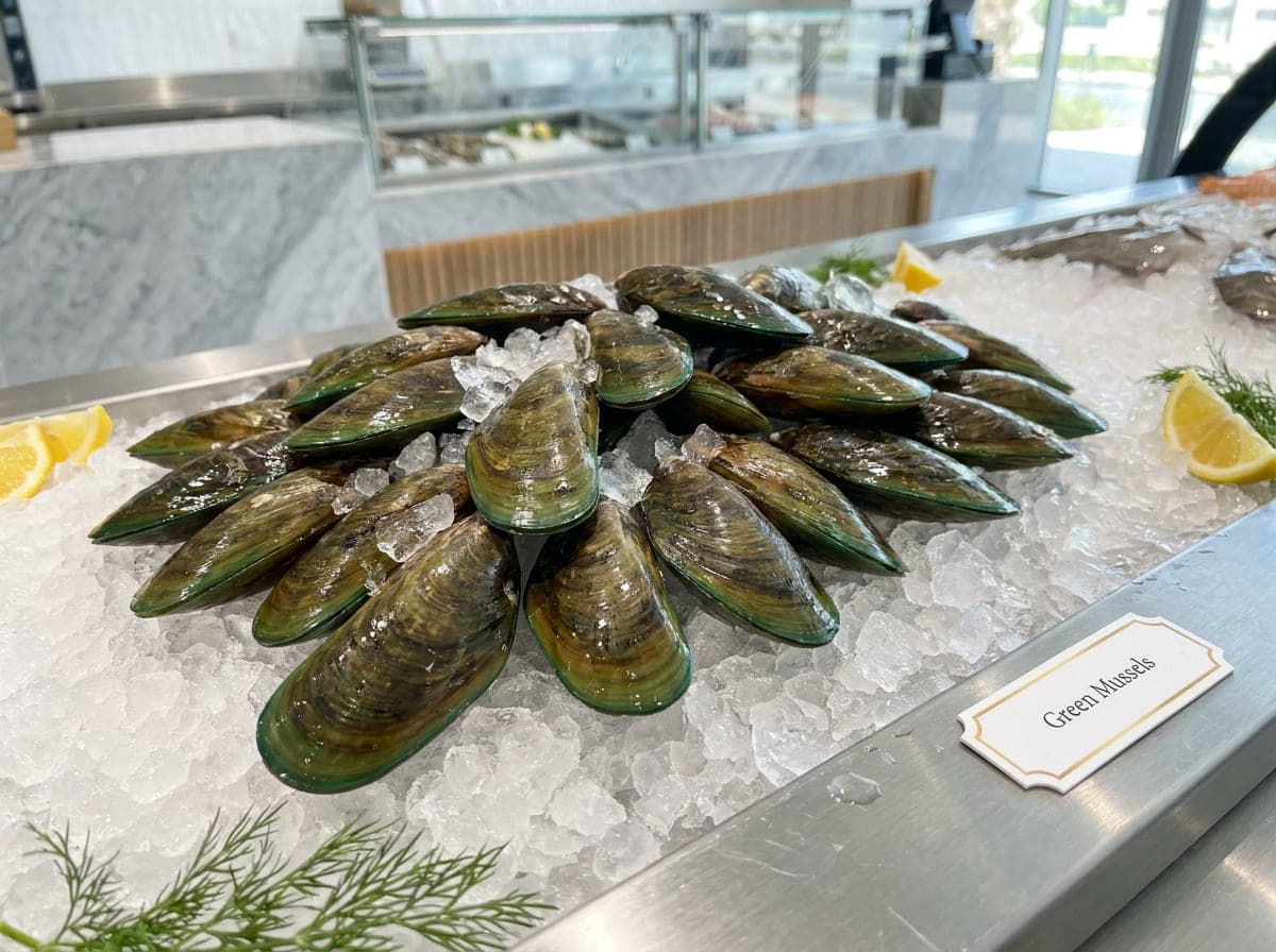 Frozen Mussel Meat