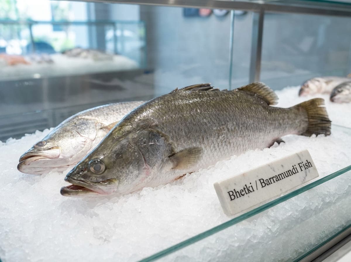 Order Delicious Fresh Bhetki Barramundi Fishالباراموندي In Dubai UAE